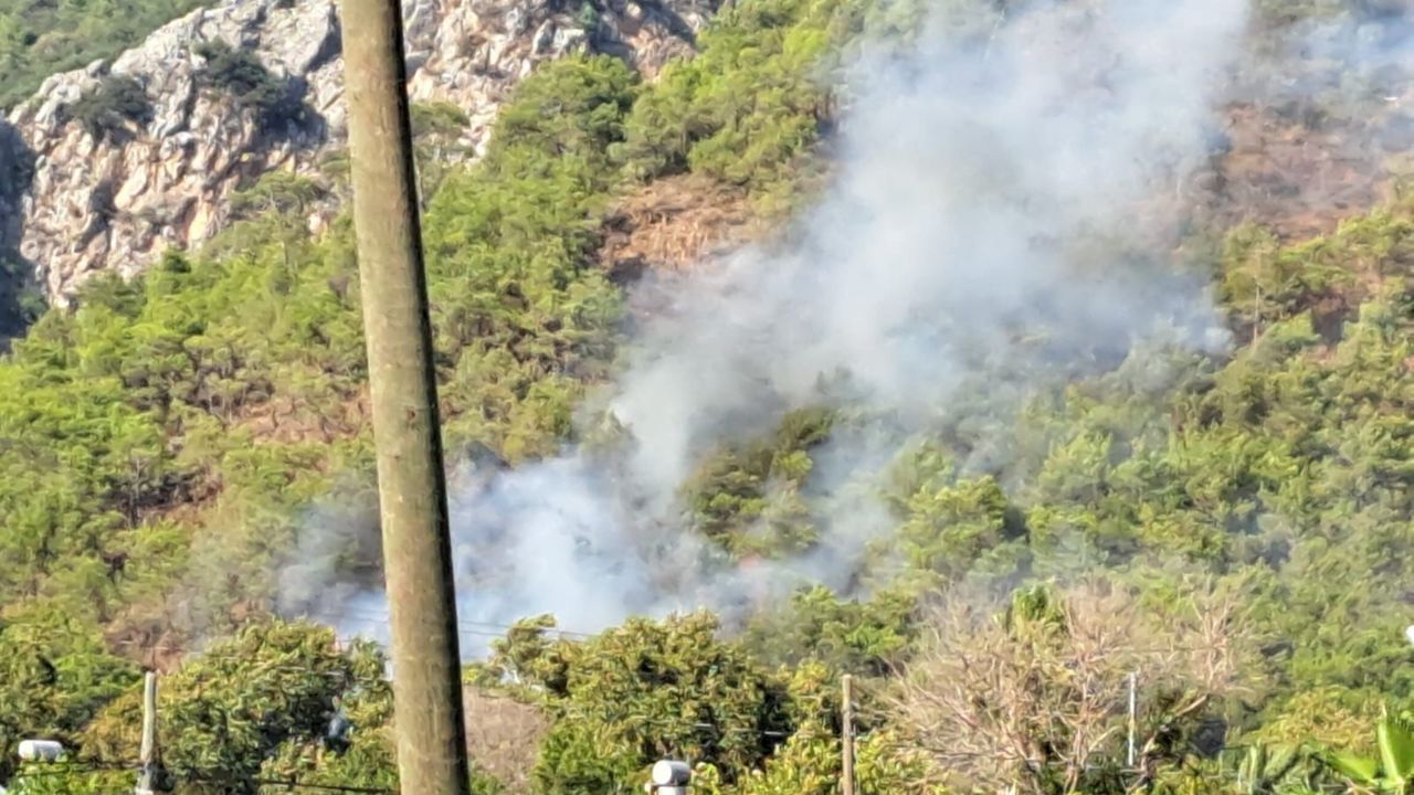 Antalya Adrasan’da orman yangını