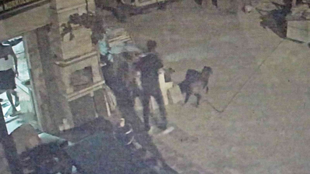 Antalya’da akıl almaz olay, tartıştığı arkadaşına sinirlenip aynı ismi taşıyan köpeği vurdu