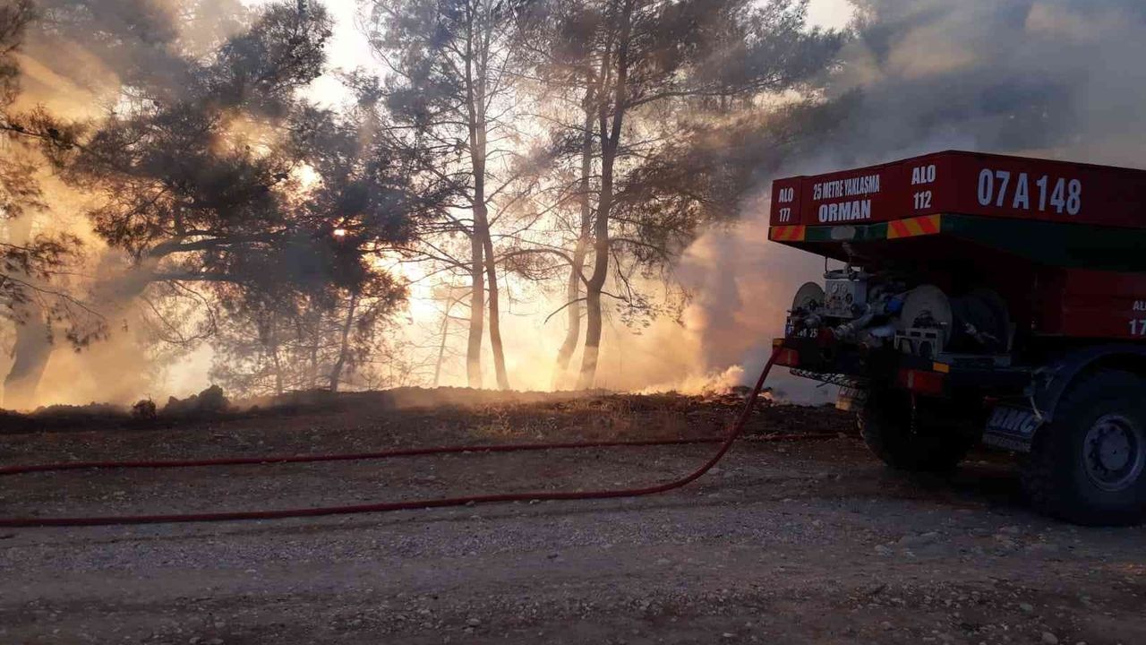 Antalya’da orman yangını büyümeden söndürüldü