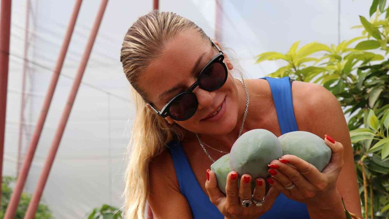 Antalya’da yılın ilk mango hasadı Ivana Sert’ten