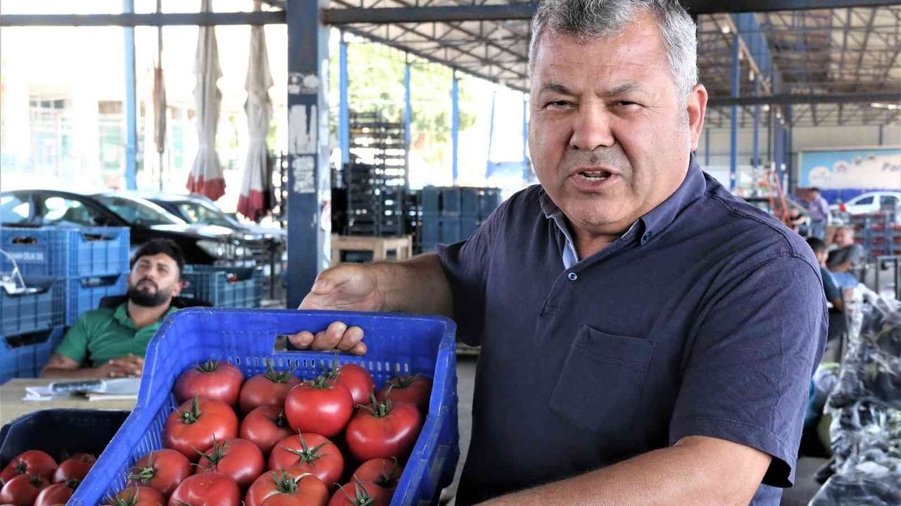Antalyalı çiftçilerin domatese talebi yüzde 30 arttı