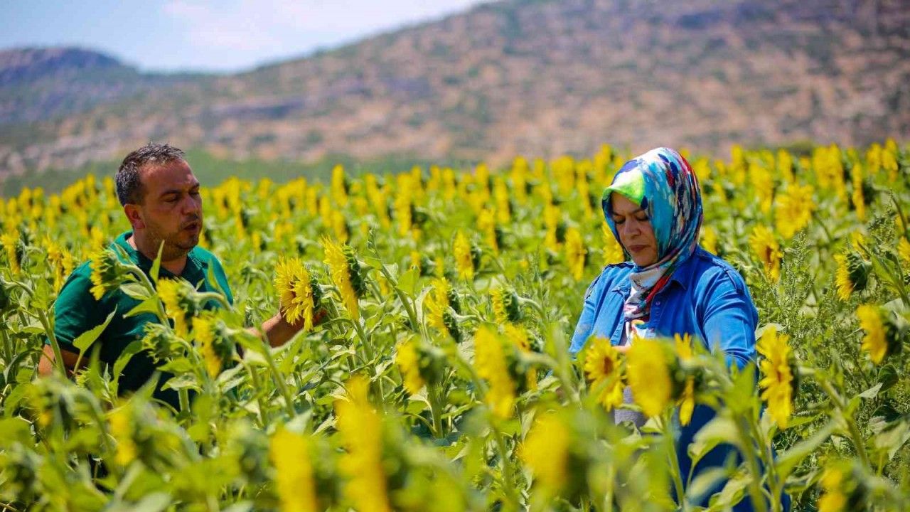 Antalya tarımına geçen yıl 143 milyonluk destek sağlandı