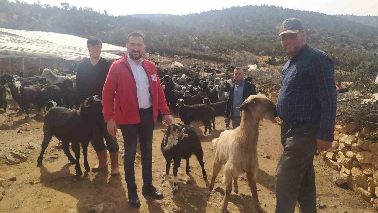 Antalya’da çobanlardan Kızılay’a 10 küçükbaş hayvan bağışı