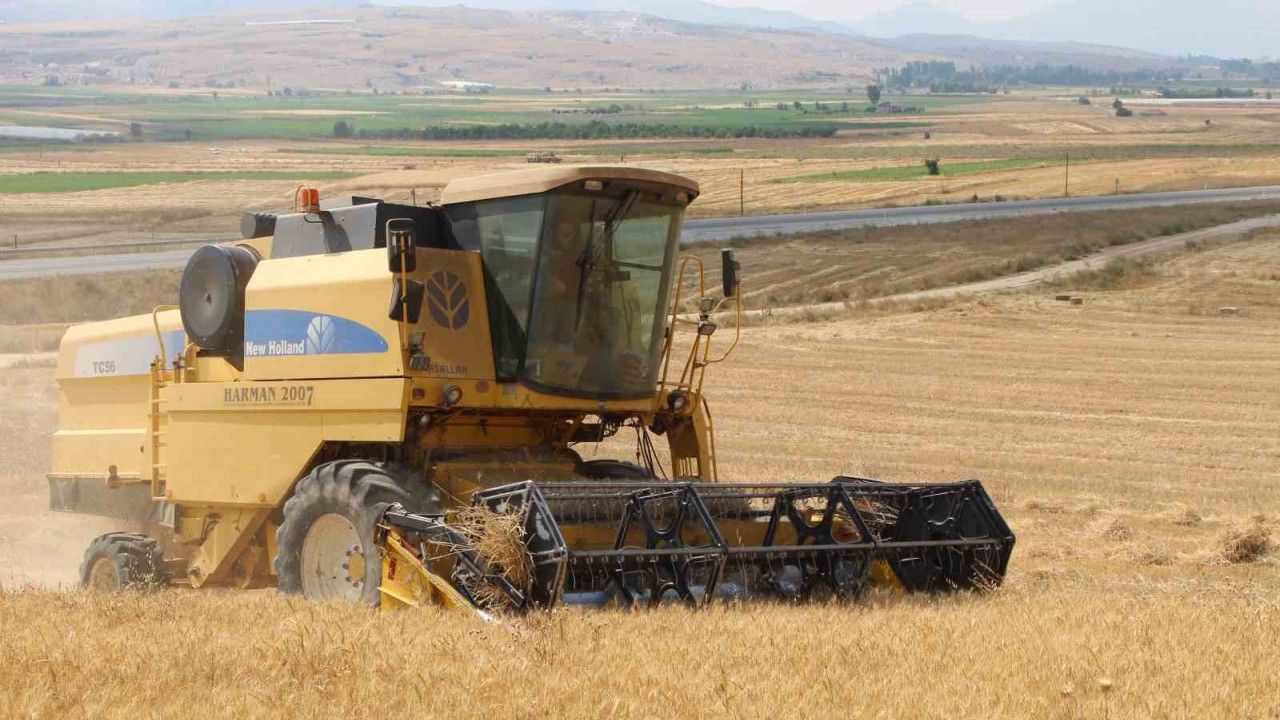 Antalya Büyükşehir Belediyesi kendi arazisinde buğday yetiştirdi