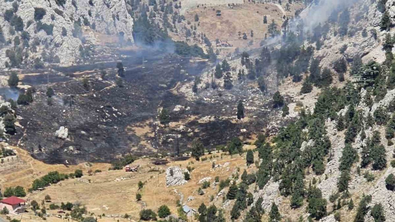 Kırsal alan yangınında 1 hektar zarar gördü
