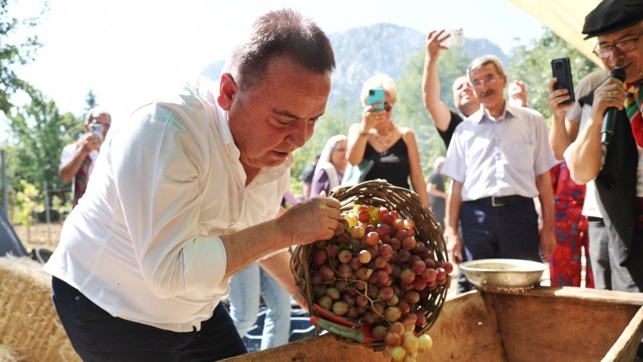 Antalya Gastronomi Festivali’nin ikinci gününde mor üzüm hasadı