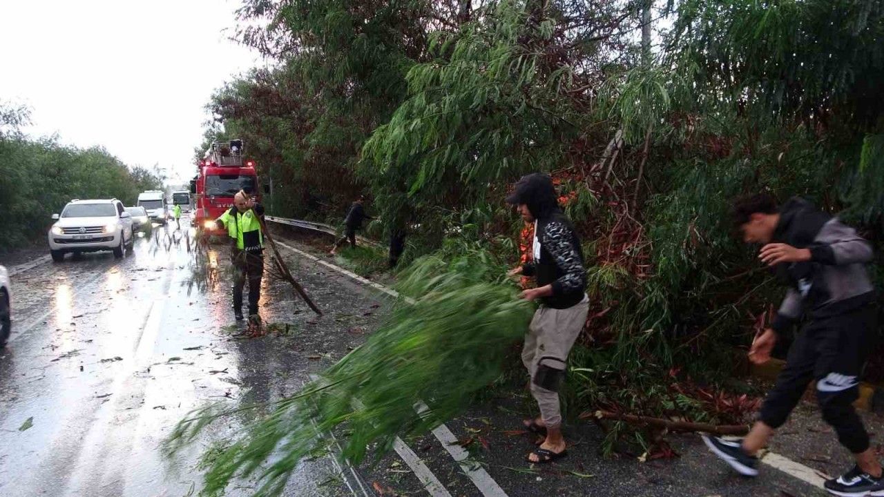 Antalya’da fırtına ağaçları devirdi, karayolunda trafik aksadı