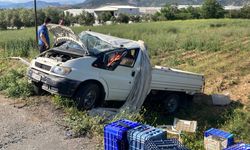 Gazipaşa'da kamyonet şarampole uçtu