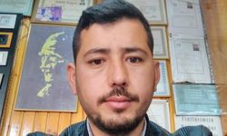 Elektrik akımına kapılıp can verdi