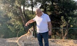 ALTSO Başkanı Şahin’den otel atık yemeklerinden sokak hayvanları için mama projesi