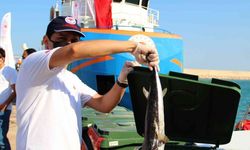 Antalya’da balıkçılara istilacı balon balığı bereketi