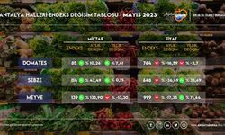 Antalya’da sebze fiyatlarında yüzde 36,69 düşüş