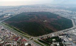 7 yürüyüş parkuru 25 bin ağaçla kentin akciğeri Zeytinpark, Antalyalıları bekliyor