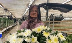 Çiçek üreticileri Anneler Günü’ne hazırlanıyor