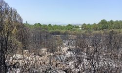 Antalya’da orman yangınında 2 hektar alan zarar gördü