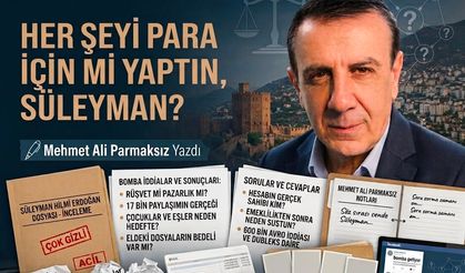 Her şeyi para için mi yaptın, Süleyman?