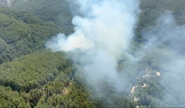 Antalya’daki yangın kontrol altına alındı