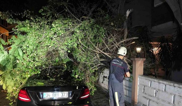 Antalya Büyükşehir’den fırtınaya hızlı müdahale