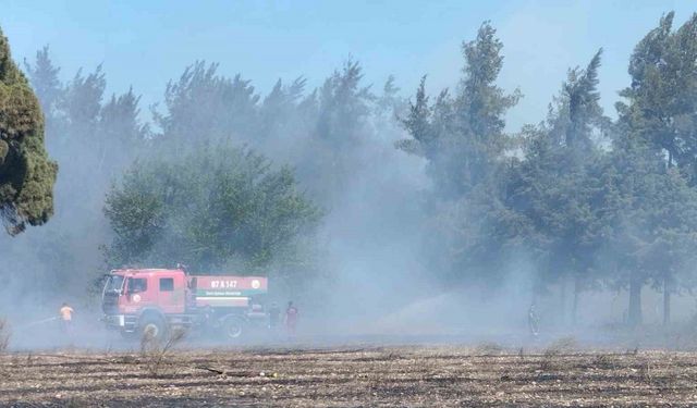 Antalya’da boş arazide çıkan yangın ormanlık alana sıçradı