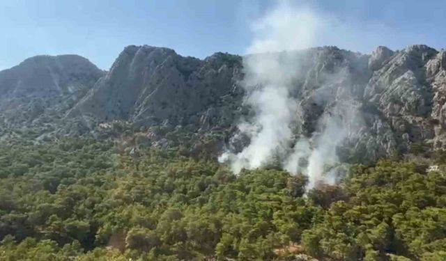 Antalya’daki orman yangını kontrol altına alındı