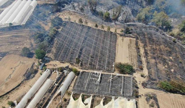 Antalya’daki yangın 5 saatlik çalışma sonucu kontrol altına alındı