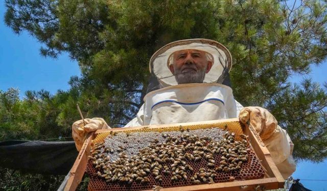 Oğlunun ölümünün ardından dedesinden kalma arıcılık mesleğiyle hayata tutundu