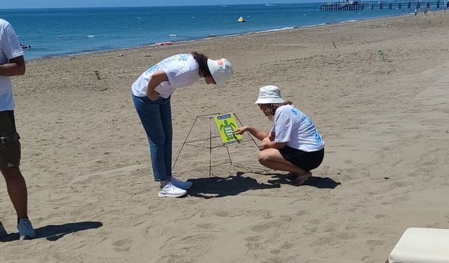 Turizm merkezi Kundu’da caretta caretta seferberliği