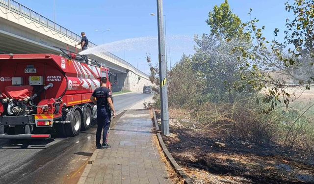 Yol kenarına atılan sigara izmariti yangın çıkardı