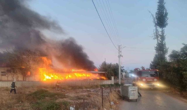 Antalya’da koli karton fabrikasında korkutan yangın