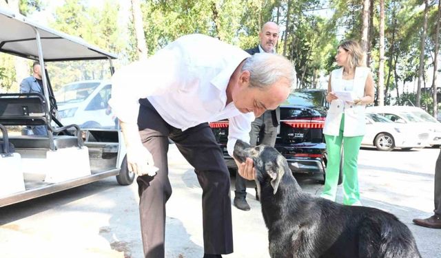 Başkan Kocagöz’den ’Köpek yakıldı’ iddialarına cevap