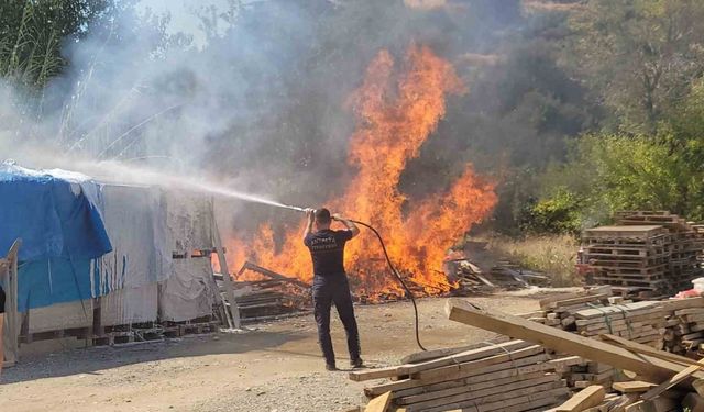 Gazipaşa’da alev alan paletler küle döndü