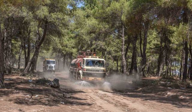 Kepez Belediyesi, orman yangınına karşı teyakkuzda