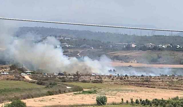 Sigara izmariti yangına neden oldu, dumanlar karayolunu kapladı