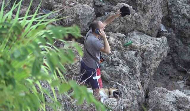 Tasmasından kurtulan köpek 20 metrelik kayalıklardan aşağı düştü