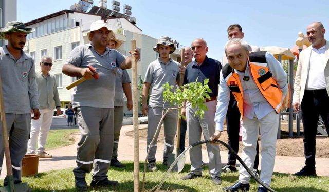 Yenilenen parka ilk ağaç fidanı Kocagöz’den