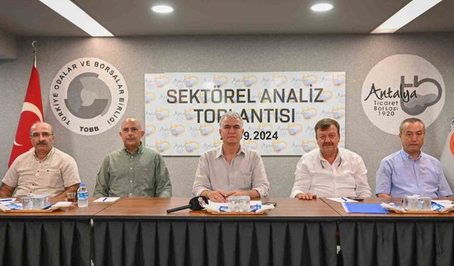 Antalya’da zeytin rekoltesinde geçen yıla göre yüzde 30 artış bekleniyor