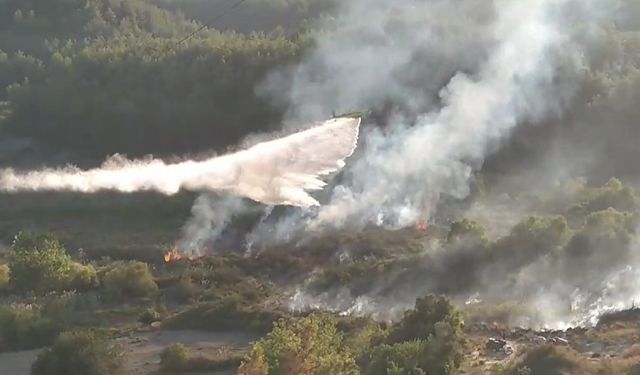 Antalya’daki orman yangını kontrol altına alındı