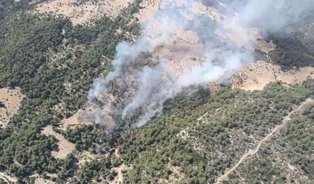 Kaş’ta orman yangını