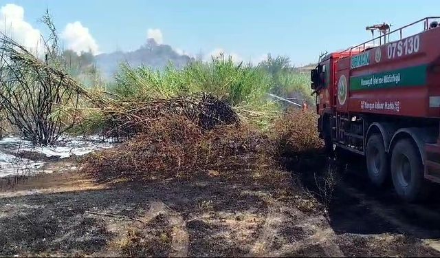 Sazlık yangını tarım arazileri ve mezarlığa ulaşmadan söndürüldü