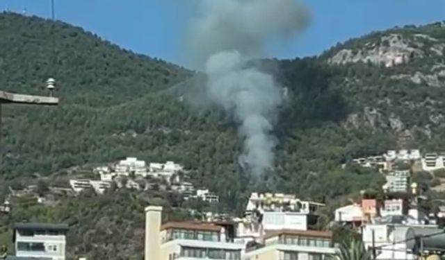 Alanya’da orman yangını