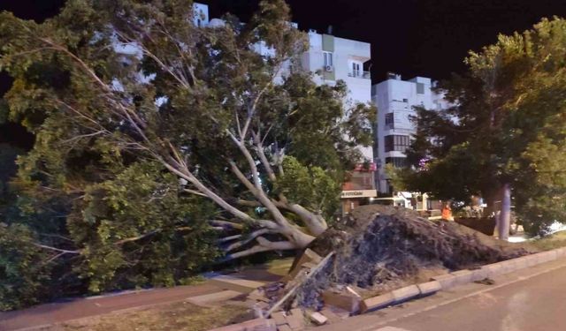 Antalya’da fırtına mesaisi