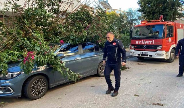 Antalya’da fırtınaya dayanamayan ağaç park halindeki aracın üzerine devrildi