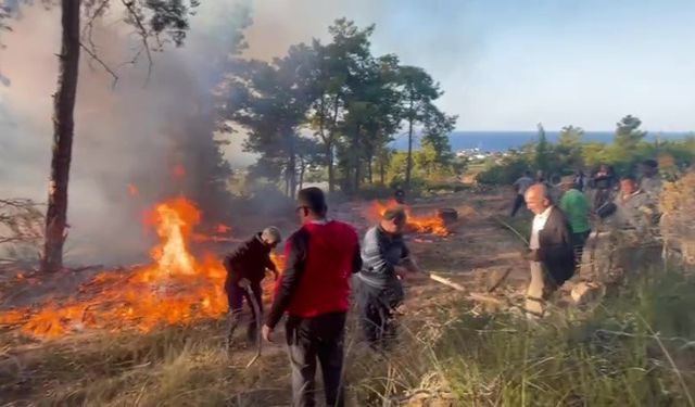 Antalya’da hava aracı ormanlık alana düşüp infilak etti