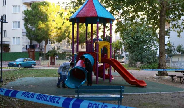 Çocuk parkında dehşet saçtılar: 2 çocuk saçma ile yaralandı