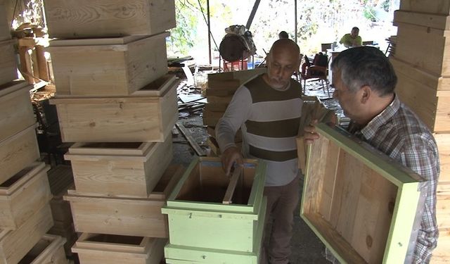 Türkiye’nin arı kovanları Alanya’dan