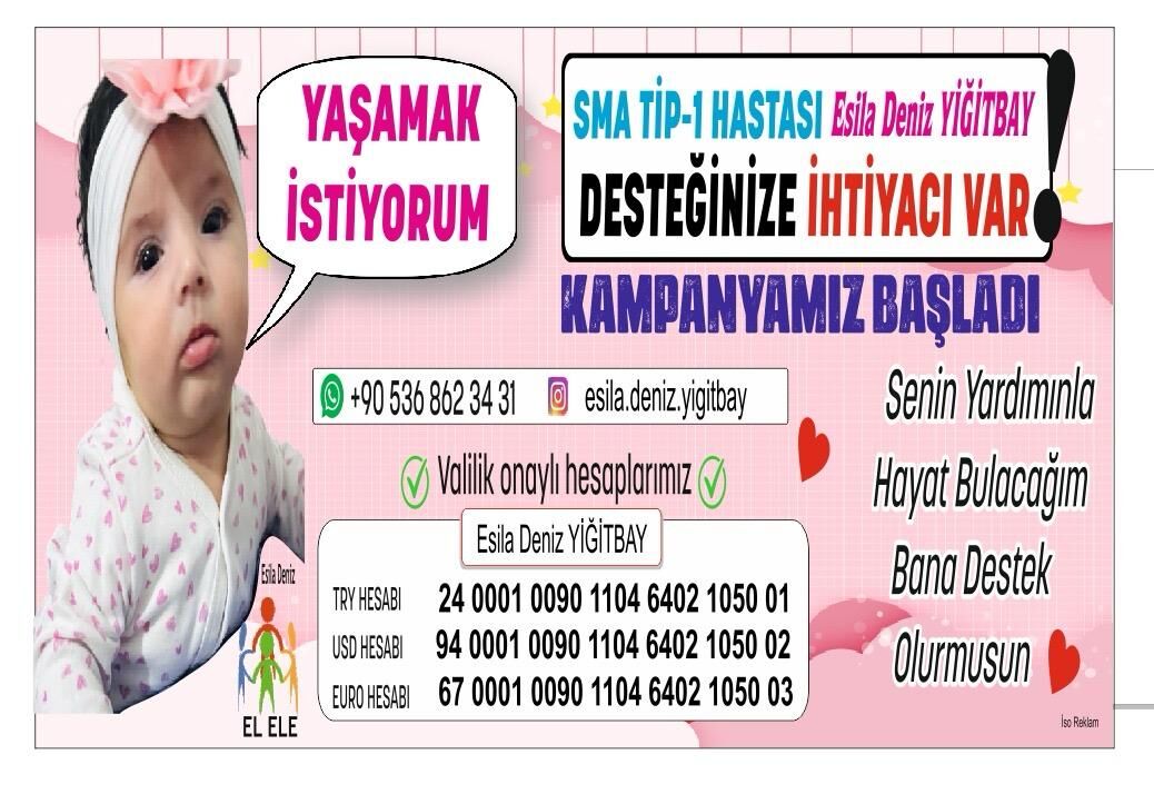 I M G 20261008 W A0052
